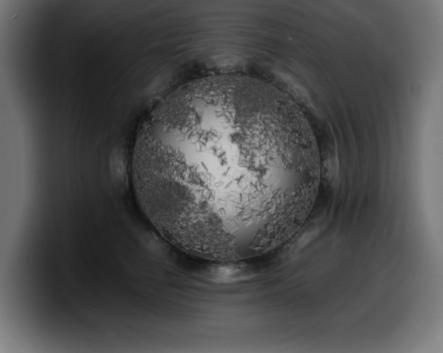 X0000100490662200806131251