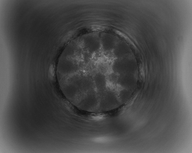 X0000100490667200806131251