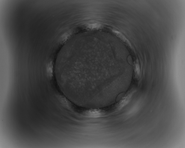 X0000100490668200806131251