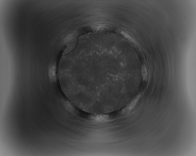 X0000100490670200806131251