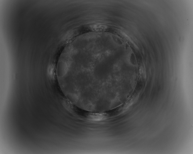 X0000100490671200806131251