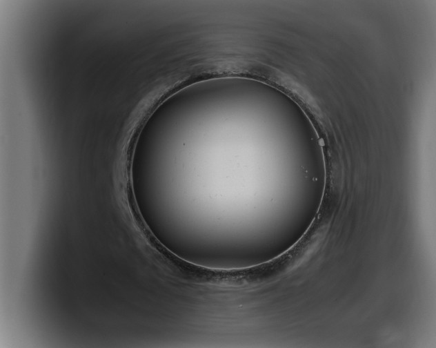 X0000100490673200806131250