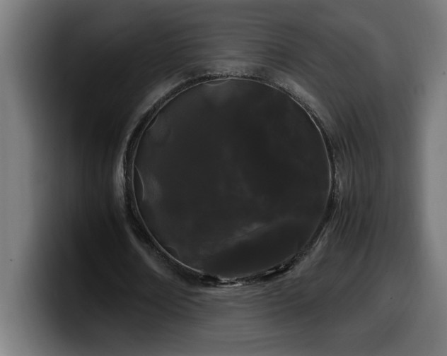 X0000100490674200806131250