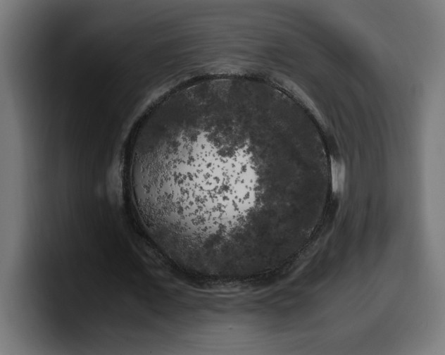 X0000100490675200806131250