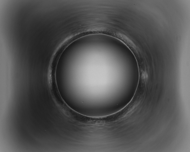 X0000100490676200806131250