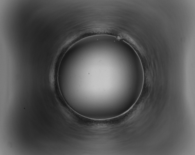 X0000100490677200806131250