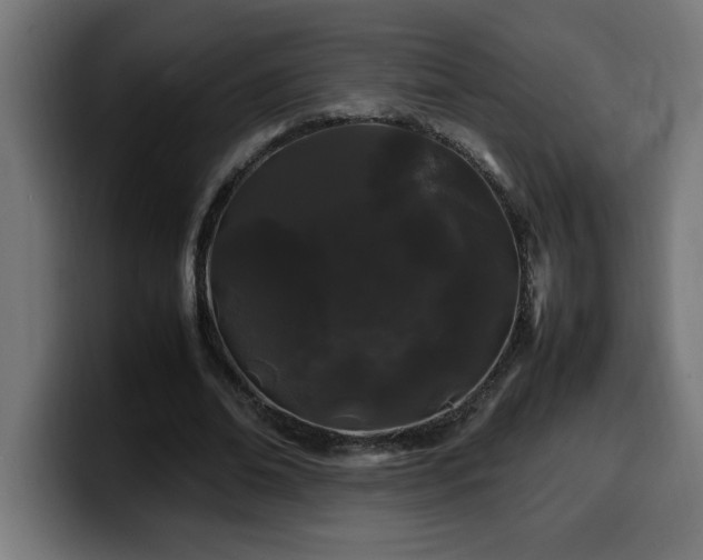 X0000100490678200806131250