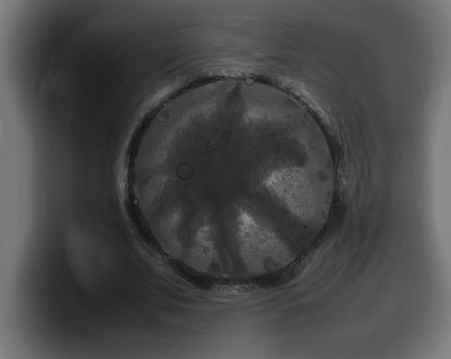 X0000100490679200806131250