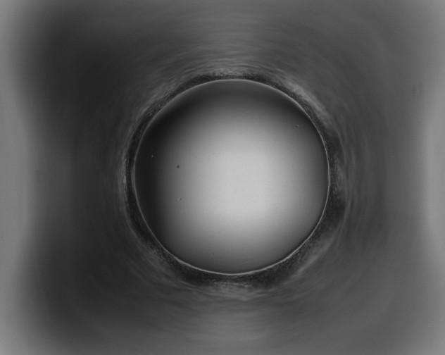 X0000100490681200806131250