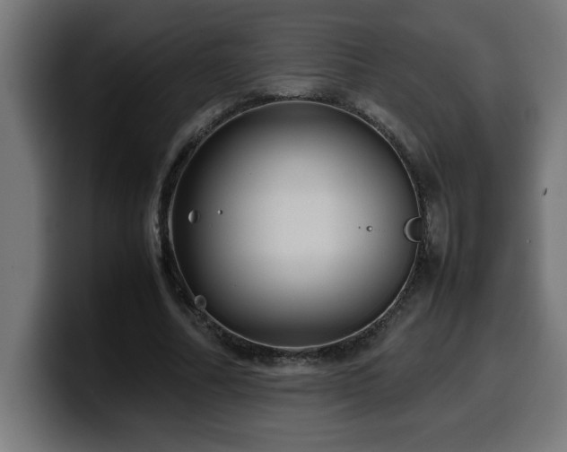X0000100490682200806131250