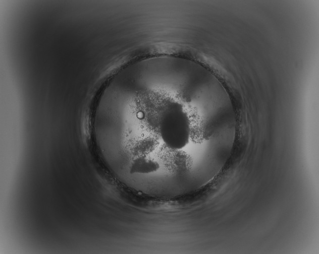 X0000100490683200806131250