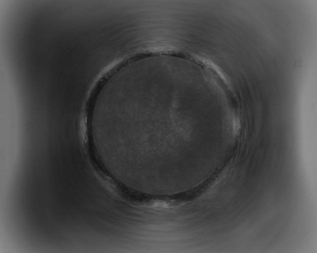 X0000100490684200806131250