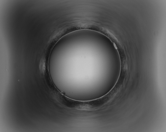 X0000100490685200806131250