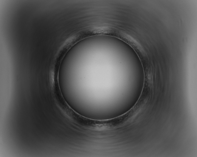 X0000100490686200806131250