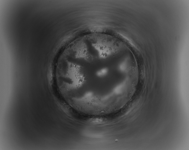 X0000100490687200806131250