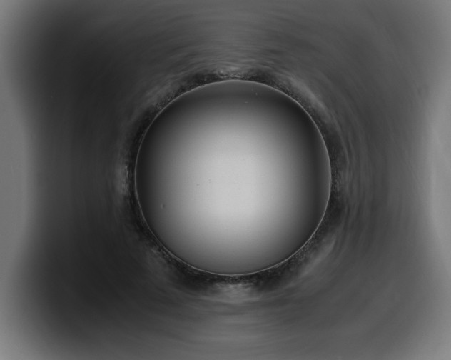 X0000100490689200806131250