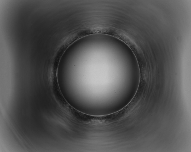 X0000100490690200806131250