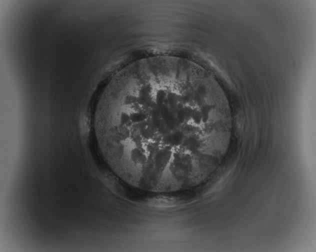 X0000100490691200806131250