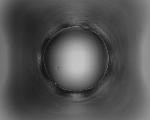 X0000100490693200806131250