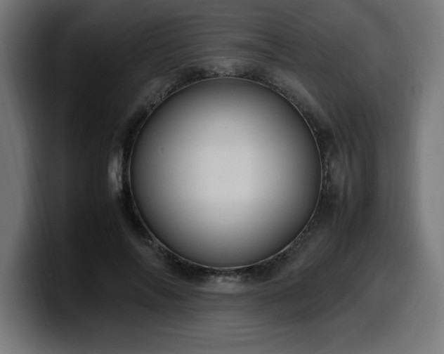 X0000100490694200806131250