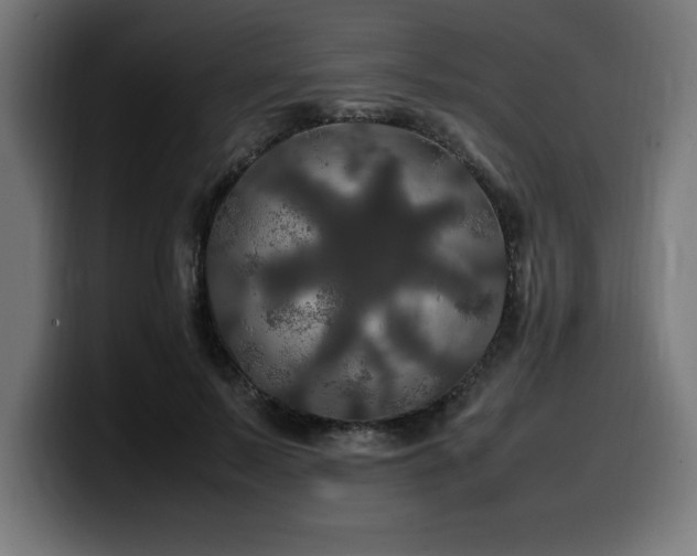 X0000100490695200806131250