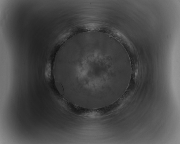 X0000100490696200806131250
