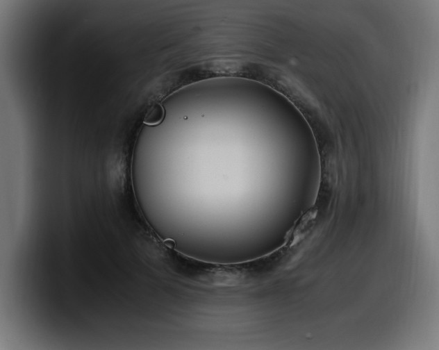 X0000100490697200806131250
