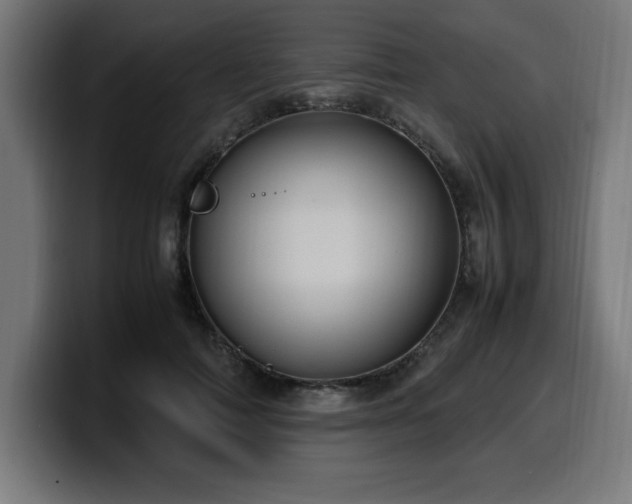 X0000100490698200806131250