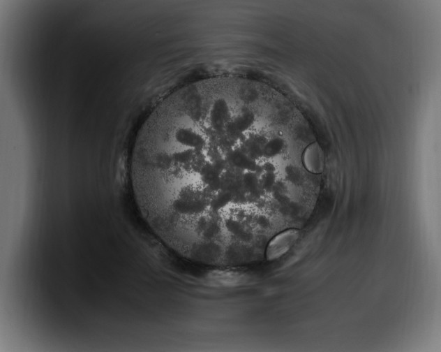 X0000100490699200806131250