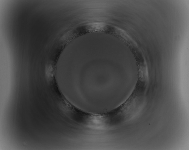 X0000100490701200806131250
