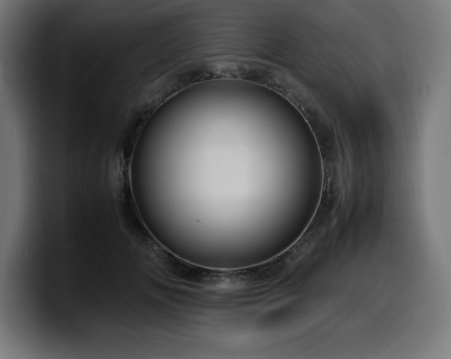 X0000100490702200806131250