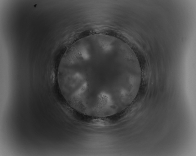 X0000100490703200806131250