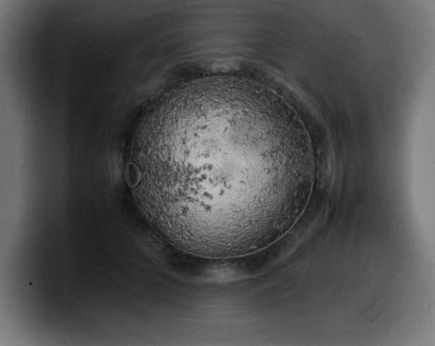 X0000100490704200806131250