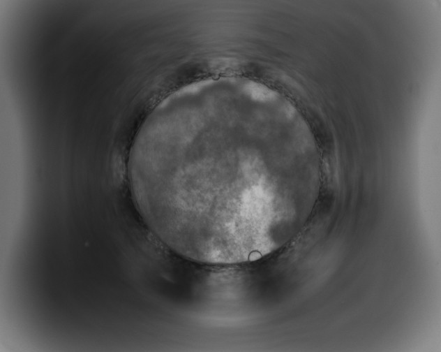 X0000100490705200806131250