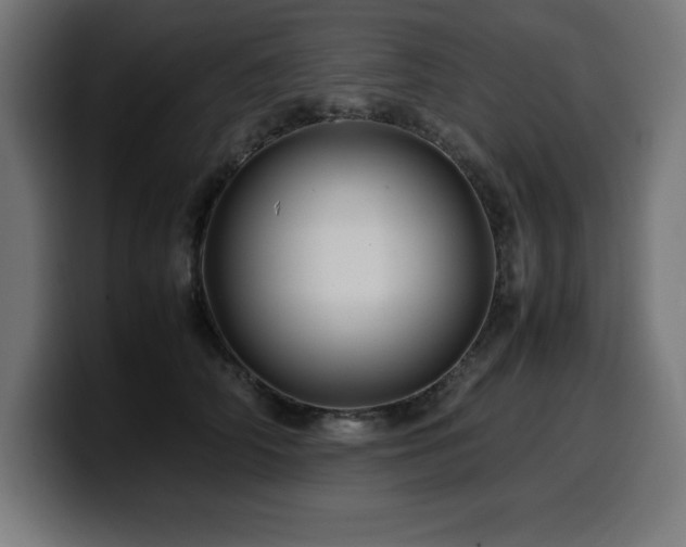 X0000100490706200806131250