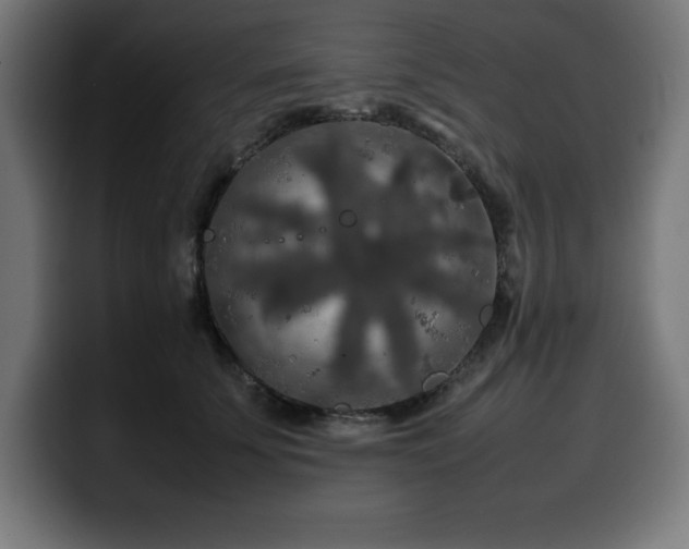 X0000100490707200806131250