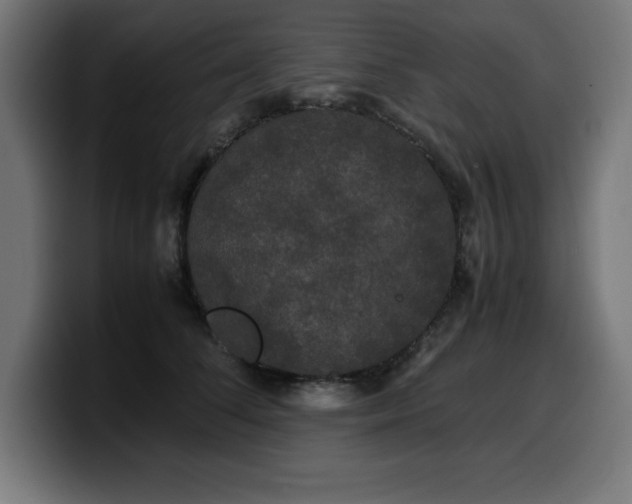 X0000100490708200806131250