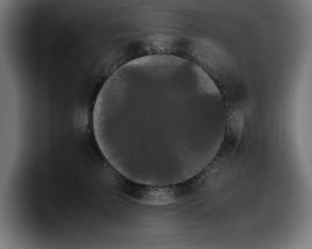 X0000100490709200806131250