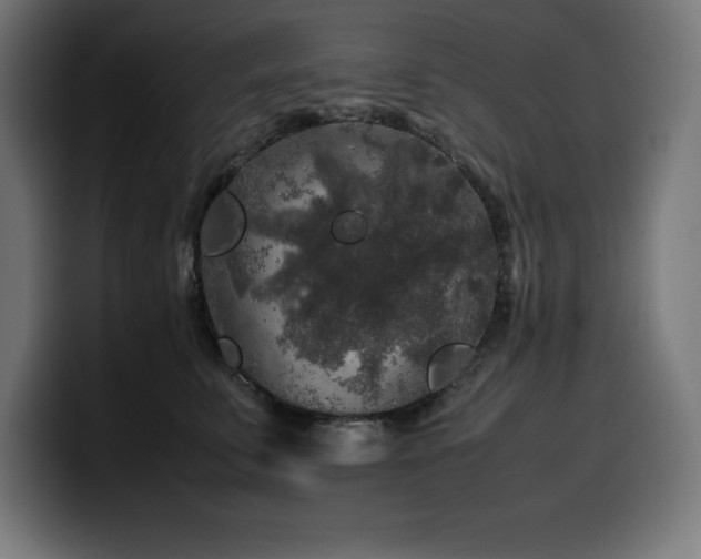 X0000100490711200806131250