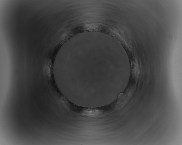 X0000100490712200806131250
