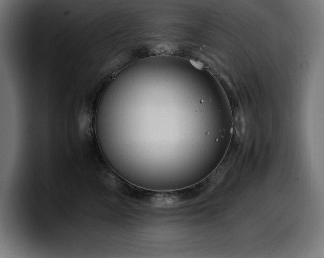 X0000100490714200806131250