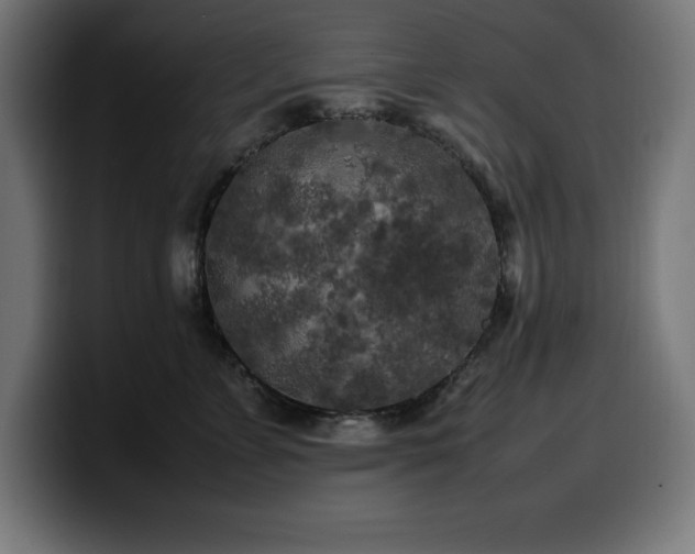 X0000100490715200806131250