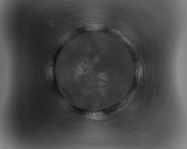 X0000100490716200806131250