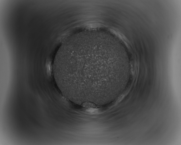 X0000100490718200806131250