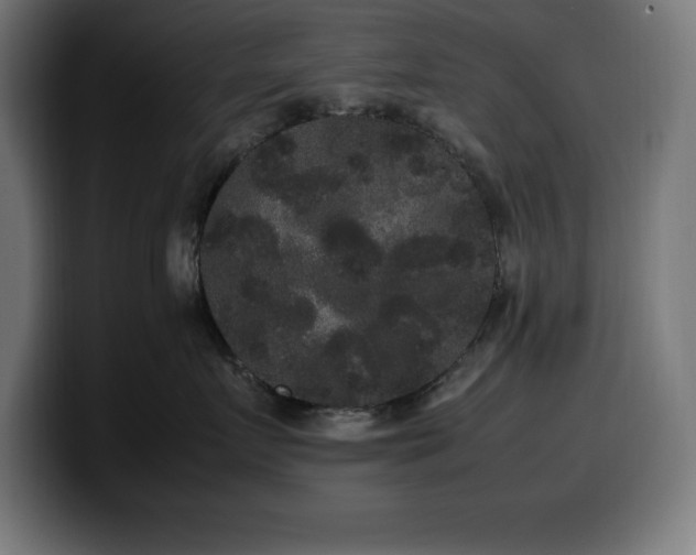 X0000100490719200806131250