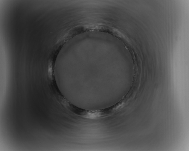 X0000100490720200806131250