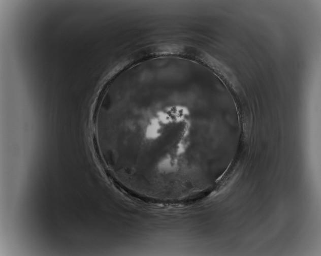 X0000100490721200806131249