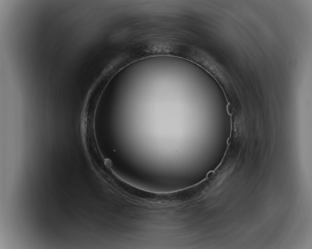 X0000100490722200806131249