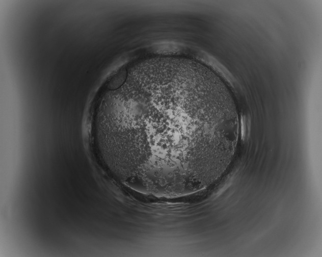 X0000100490723200806131249