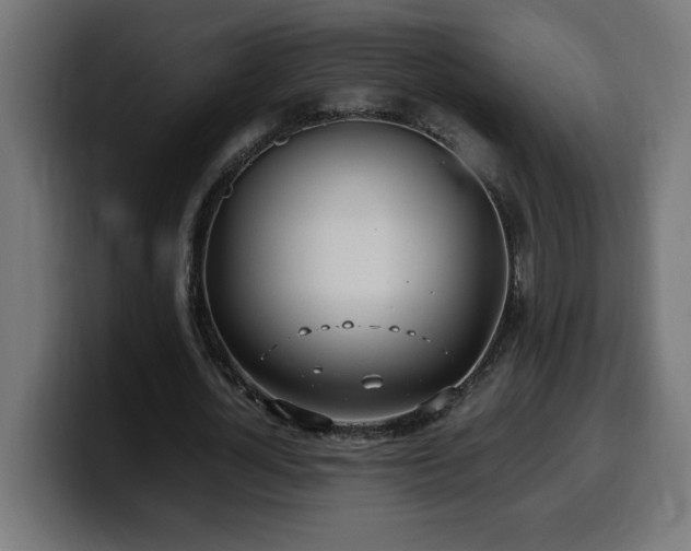 X0000100490724200806131249